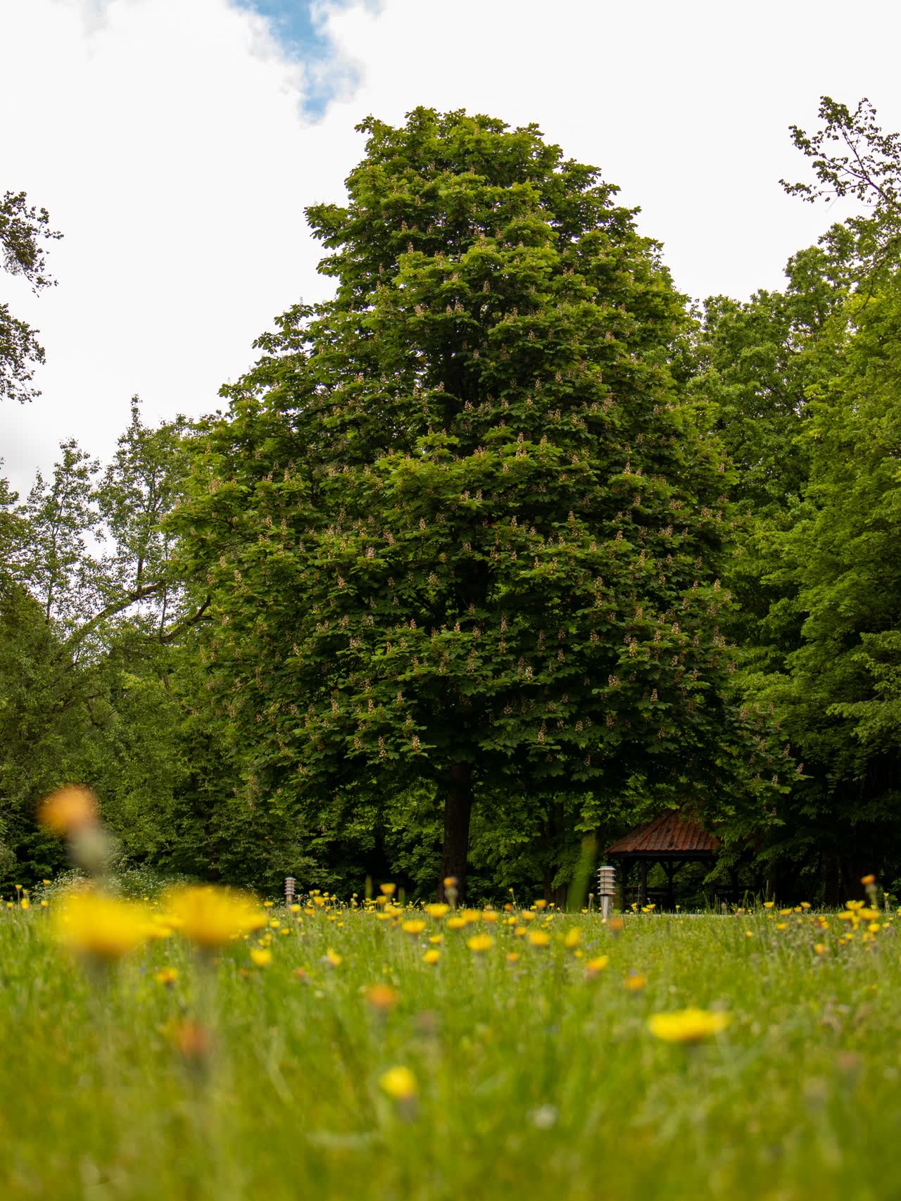 Łąka i las u progu ośrodka, tryb natura i przygoda